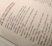 Last inn bildet i Galleri-visningsprogrammet, Bilde av tekstside i boka Over havet til Amerika. Viser forklaring på ord og uttrykk.