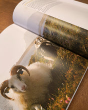 Last inn bildet i Galleri-visningsprogrammet, Bilde av illustrasjon i Villsauboka, der ein ser ein kvit sau med store horn