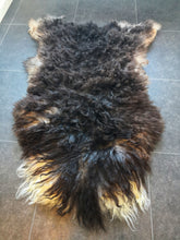 Last inn bildet i Galleri-visningsprogrammet, Spælsauskinn frå Osterøy