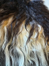 Last inn bildet i Galleri-visningsprogrammet, Spælsauskinn frå Osterøy