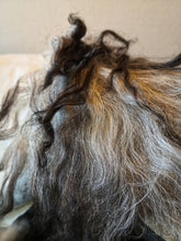 Last inn bildet i Galleri-visningsprogrammet, Spælsauskinn frå Osterøy