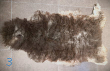 Last inn bildet i Galleri-visningsprogrammet, Villsauskinn frå Lygra