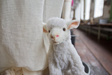 Last inn bildet i Galleri-visningsprogrammet, Sauen Bændik