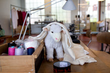 Last inn bildet i Galleri-visningsprogrammet, Sauen Bændik