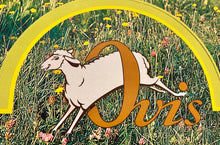 Last inn bildet i Galleri-visningsprogrammet, Såpe med sauemelk
