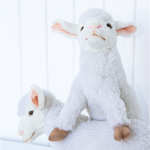 Last inn bildet i Galleri-visningsprogrammet, Sauen Bændik
