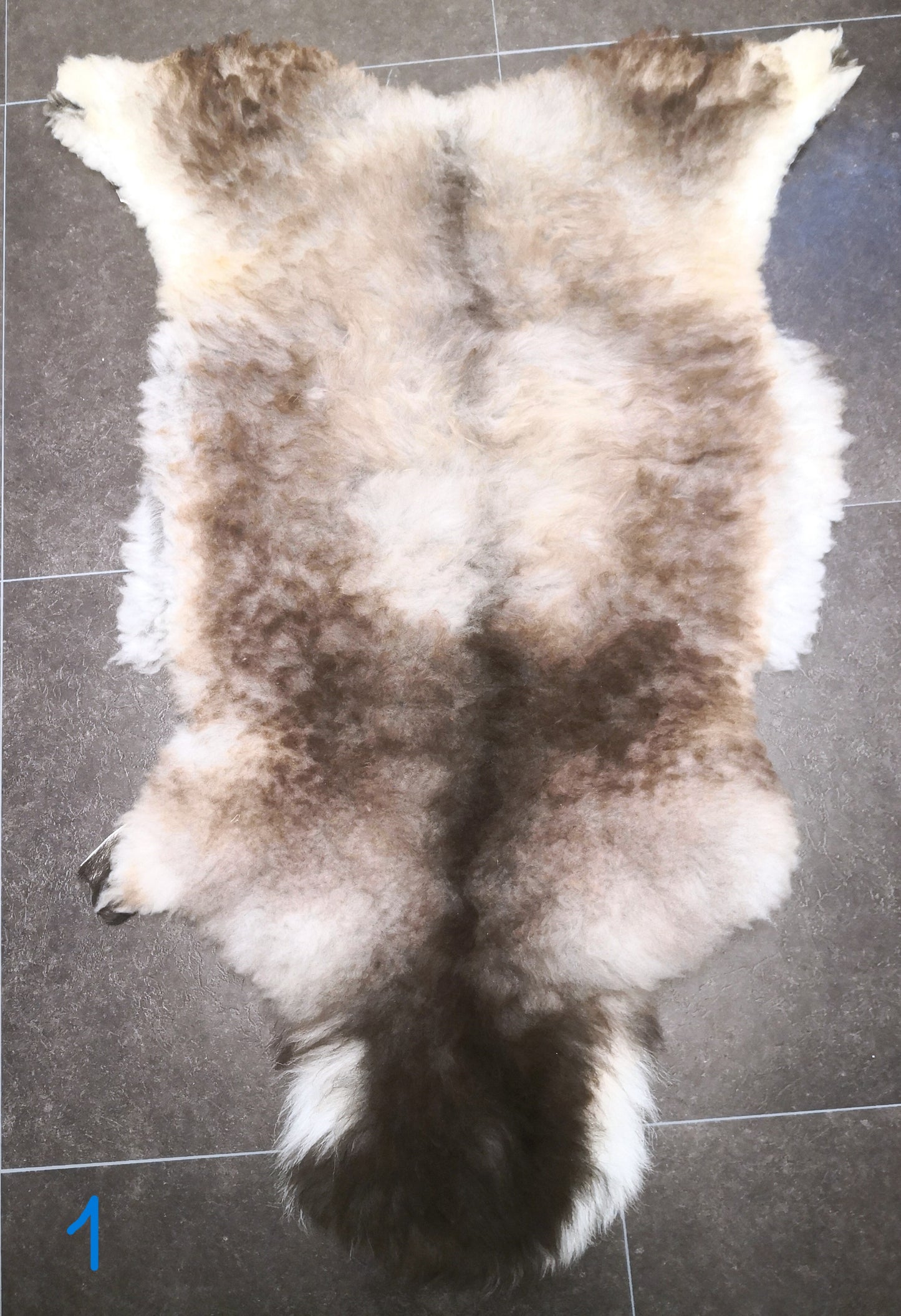 Wild sheep skin from Lygra